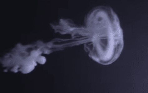 Vape Tricks Jellyfish Tutorial: Bikin Awan Vape Keren Mirip Medusa!