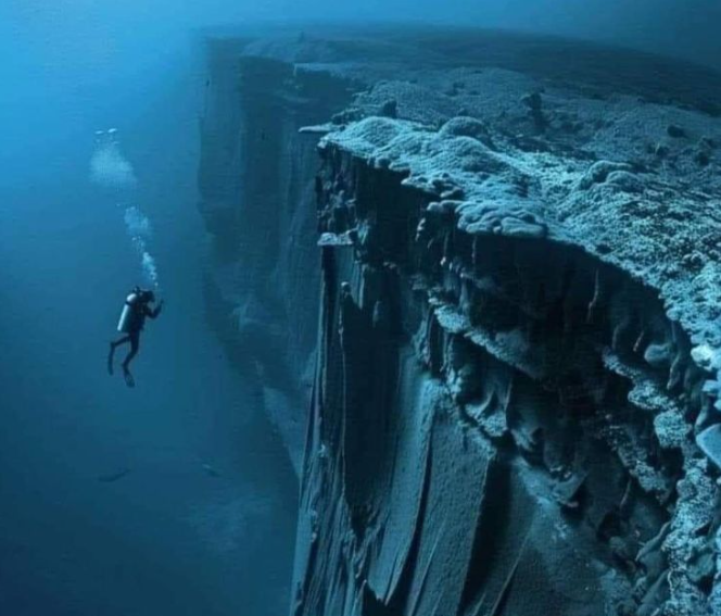 Kamu Tidak Akan Percaya Apa yang Ditemukan di Dasar Palung Mariana!